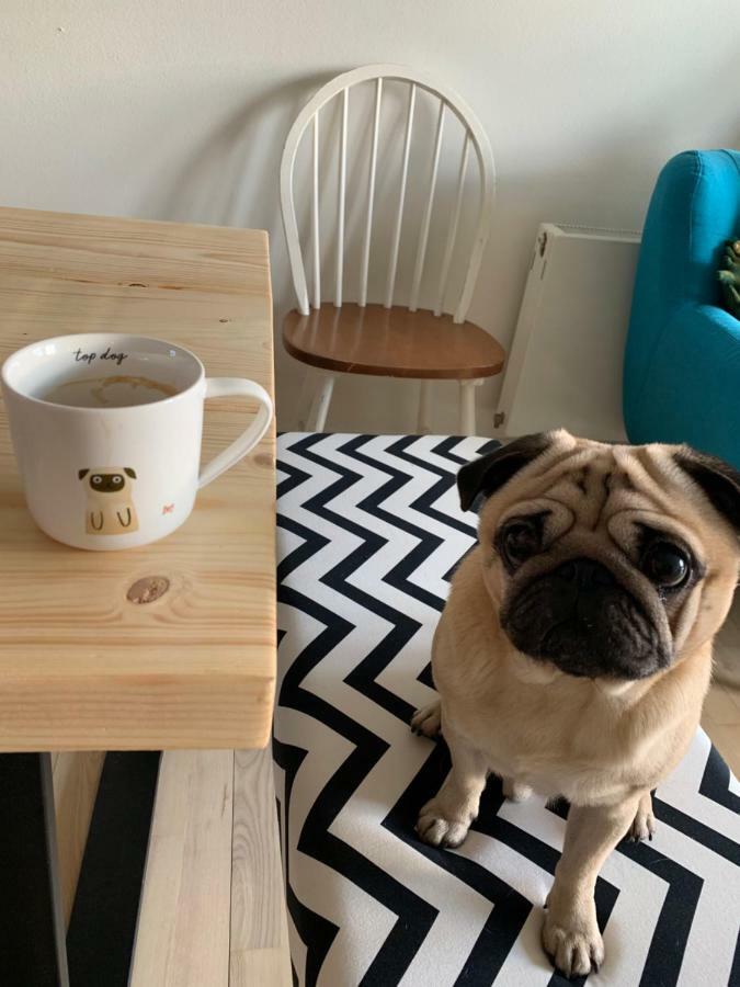 Cute Pug Guest Room Koppenhága Kültér fotó